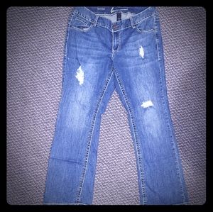 Lane Bryant distressed boot cut jeans